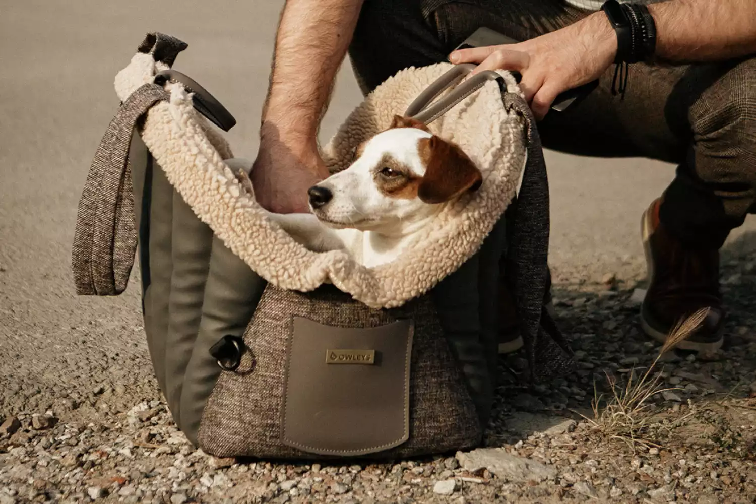 Toyota Highlander Dog Carrier Car Seat for Toy English Foxhound